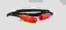 sab_extension_cable_2.jpg